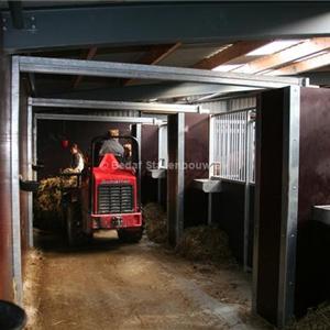 System for mechanical manure removal